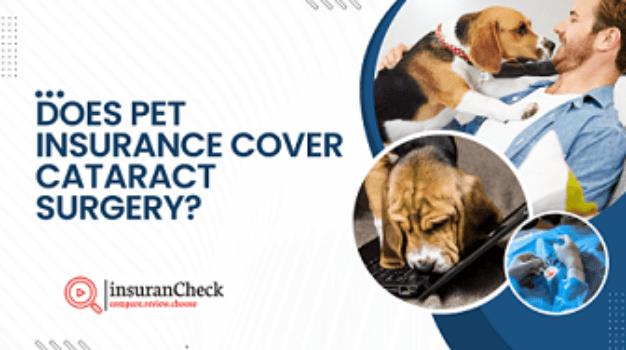Does Pet Insurance Cover Cataract Surgery