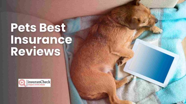 Pets Best Insurance Reviews