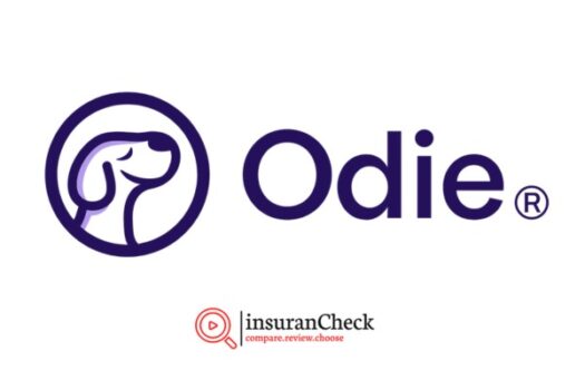 Odie pet insurance review
