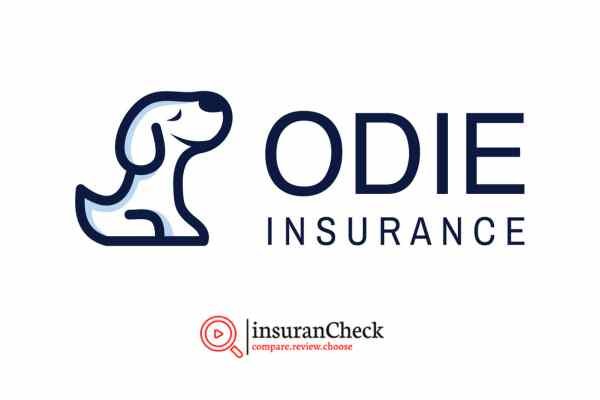 Odie Pet Insurance Review