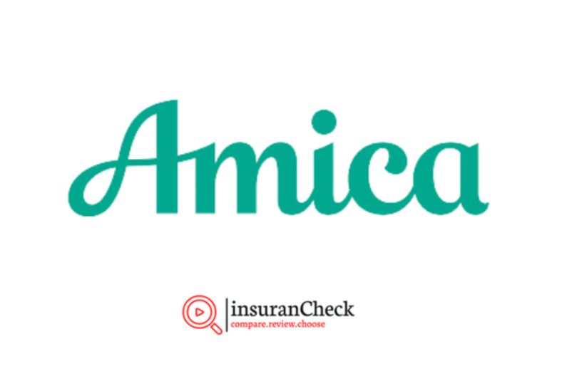 Amica renters insurance review