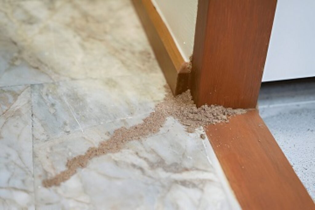 Protecting Your Home Against Termites