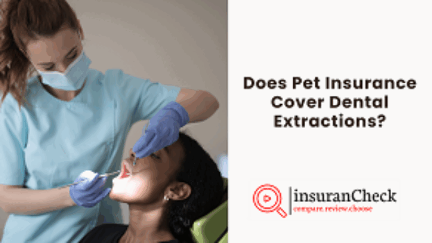 Does Pet Insurance Cover Dental Extractions
