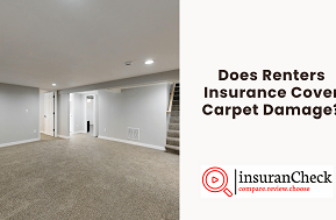 Does Renters Insurance Cover Carpet Damage?