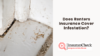 Does Renters Insurance Cover Infestation?