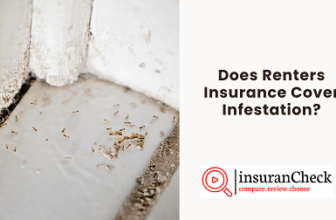 Does Renters Insurance Cover Infestation?