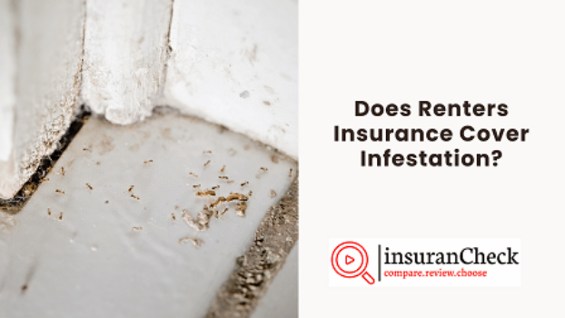 Does Renters Insurance Cover Infestation?