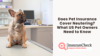 Does Pet Insurance Cover Neutering? What US Pet Owners Need to Know