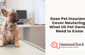 Does Pet Insurance Cover Neutering? What US Pet Owners Need to Know
