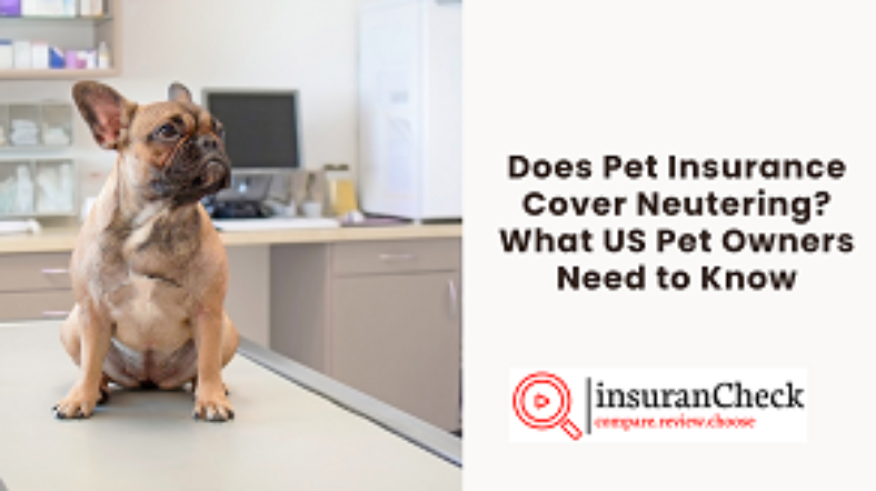 Does Pet Insurance Cover Neutering? What US Pet Owners Need to Know