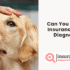 Does Pet Insurance Cover Dental Extractions?