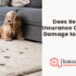 Does Home insurance Cover Termite Damage? 2025 Guide