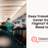 Is Travel Insurance Needed for a Visa? What You Need to Know