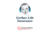 Gerber Life Insurance Review – Guaranteed Life