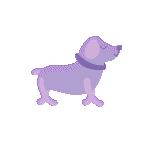 Compare Pet Insurance